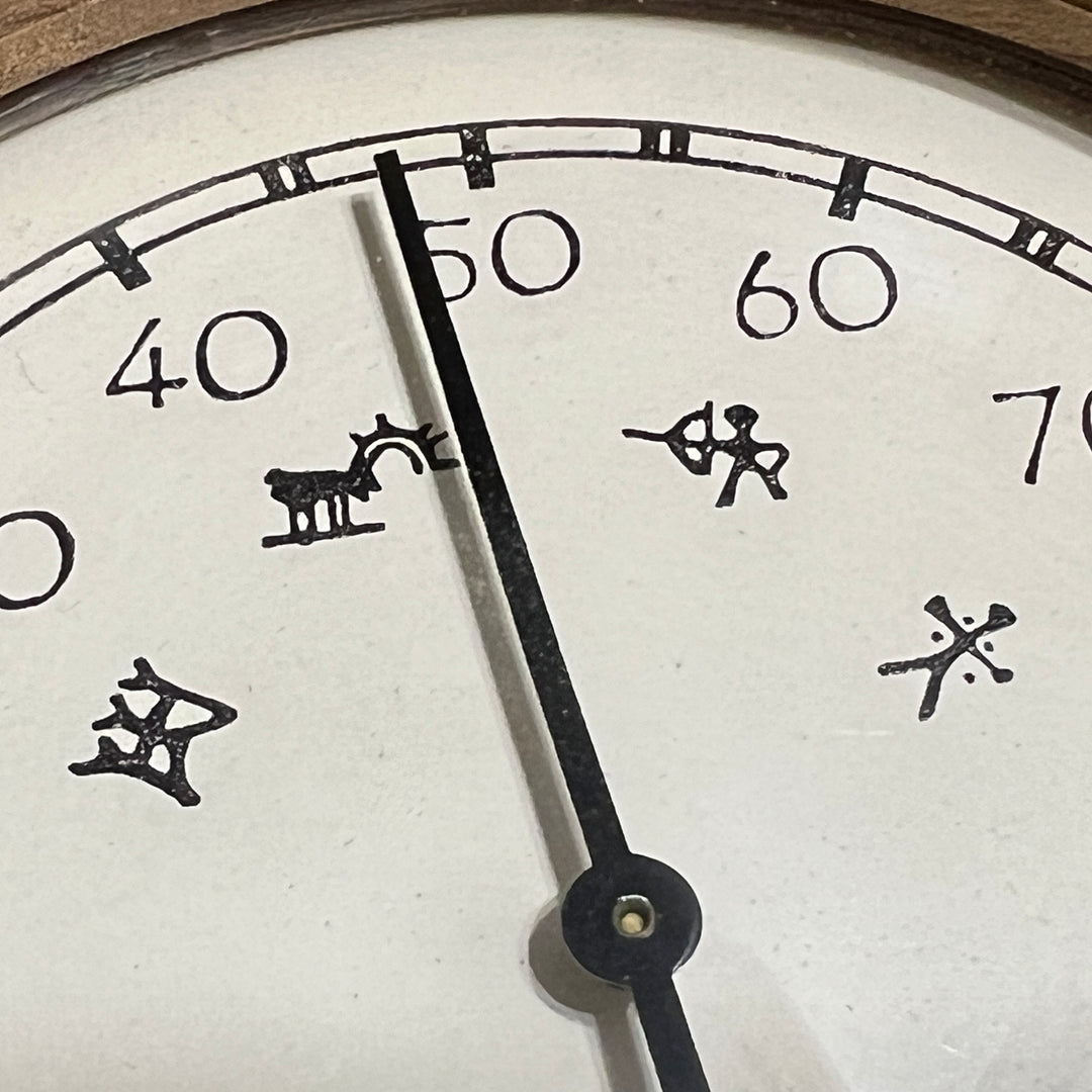 Northern Lights thermometer - dual
