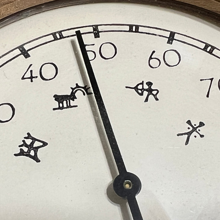 Northern Lights thermometer - dual
