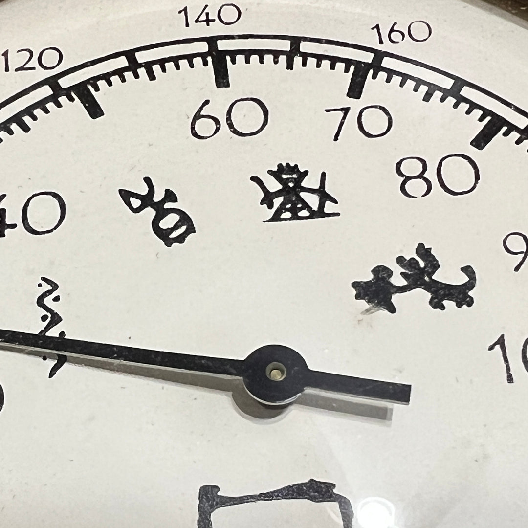 Northern Lights thermometer - dual